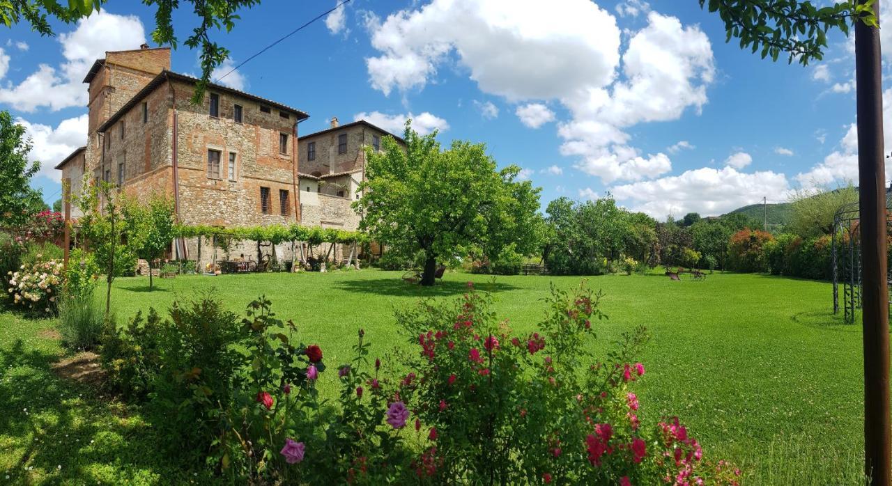 Agriturismo Abbazia Sette Frati A Casa Di Sara Pietrafitta  Exteriör bild